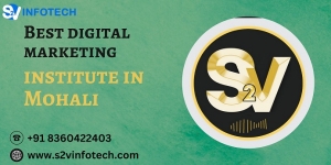 S2Vinfotech is the best digital marketing institute in Mohali